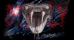 Untitled.png
