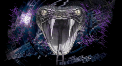 MAMB.png
