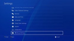 debug setting.jpg