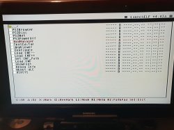 Webp.net-resizeimage.jpg Webp.net-resizeimage.jpg