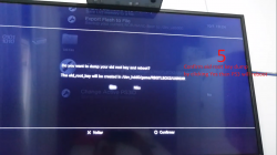 5.png