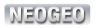 item_tex_neogeoformat.png