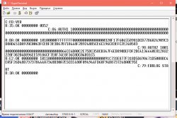 1 - HyperTerminal 30.12.2019 214446.bmp.jpg