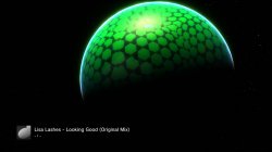 lizard5.jpg