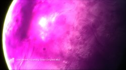 pink10.jpg