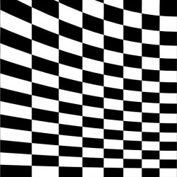side1.jpg