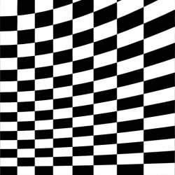 side2.jpg