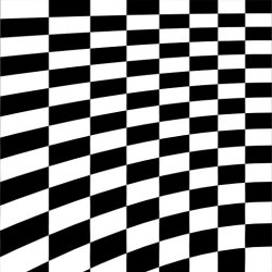 side3.jpg
