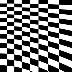 side4.jpg