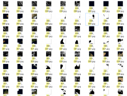 upload_2020-1-25_14-42-45.png