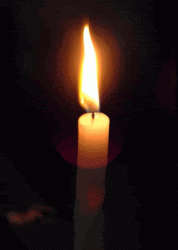 af55f1adee78bfaa630a634094c6bdd8.gif