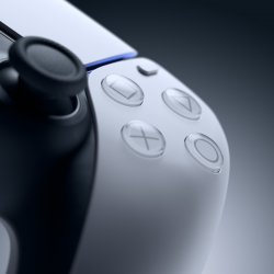 ds5.jpg
