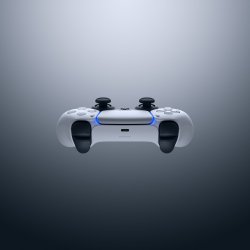 ds52.jpg