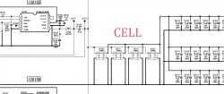 CELL.jpg