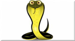 ICON0-291x160.png