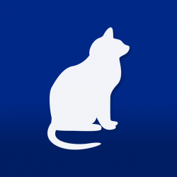 ps4_icon0_template.png