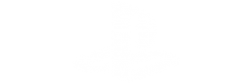 tex_sony_logo_new.png