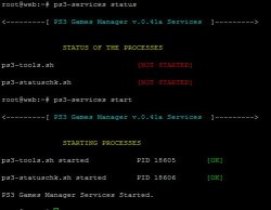 screenshot-ps3-services.JPG