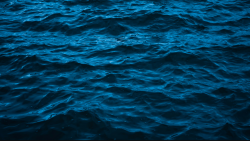 wwws.png