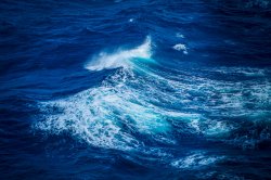 Wave_DSC9672_xk6wn5.jpg