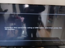 17750506633386128129420851763611.jpg
