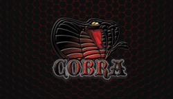 ps3 darknet cobra mega
