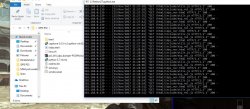 Capture.JPG