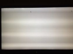 6BC43631-F8BB-4983-ABD6-3D56B7AE6897.jpeg