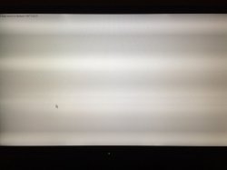 0E03BC01-10D7-40D0-BB67-976E309597A4.jpeg