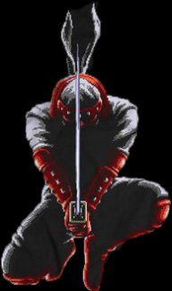 joe musashi