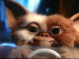 Gizmo