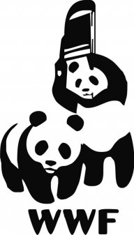 blckbear_