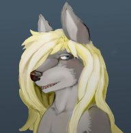 Chaos Husky