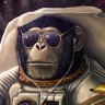 SpacialMonkey