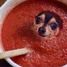 Natedawg123