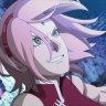 Sakurakun5