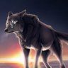 Lobo_Clandestino