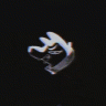 Tr1oxyde