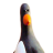 Ghost_77