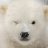 Encrypt3d_J4y