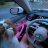 Leo_331
