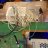 pirate flash