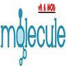 MolecularShell MOD