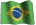 SFl BRAZIL :sfl brazil: :sfl brazil: