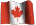 :sfl canada: