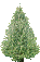 :tree3: